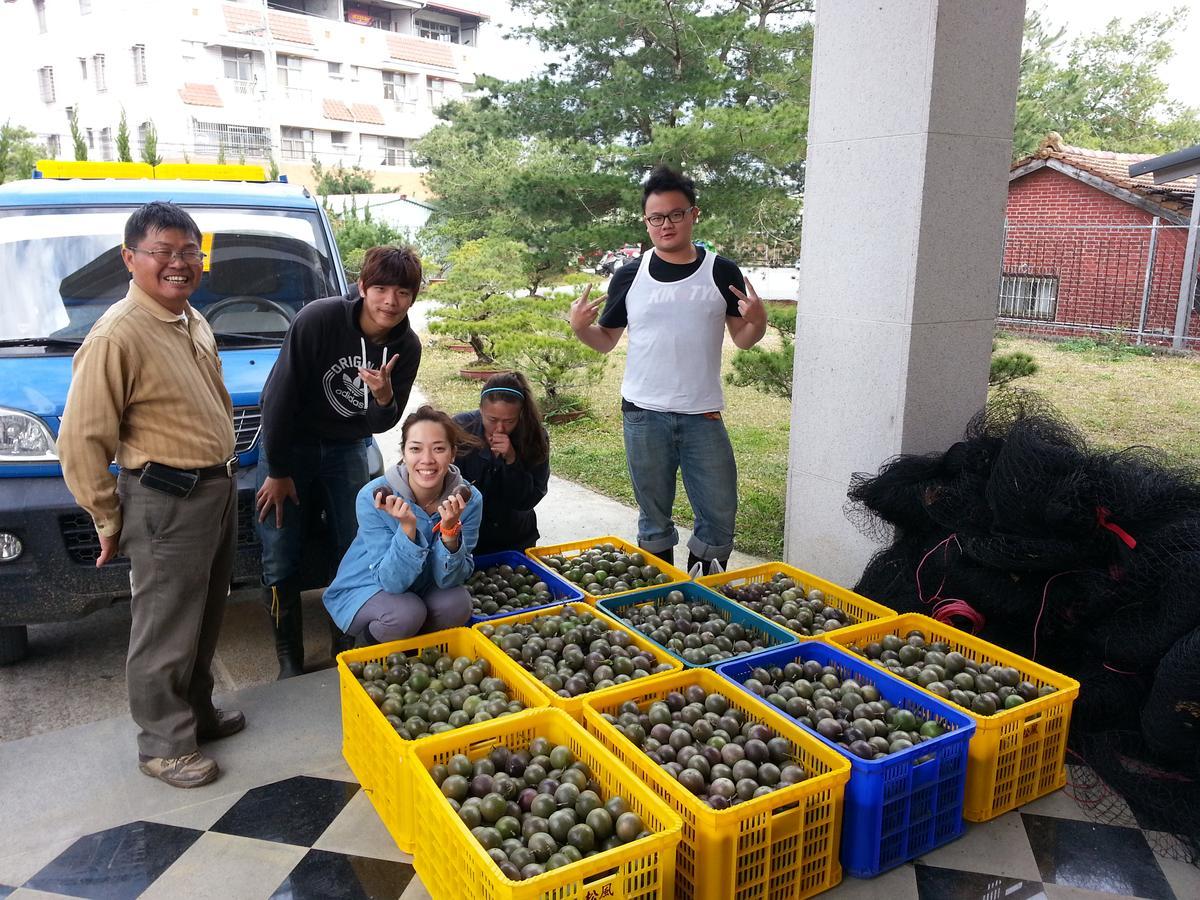 Songfeng Xiuxian Homestay Puli Buitenkant foto